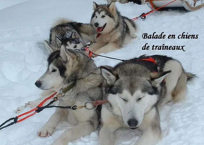 Aux pieds des cimes